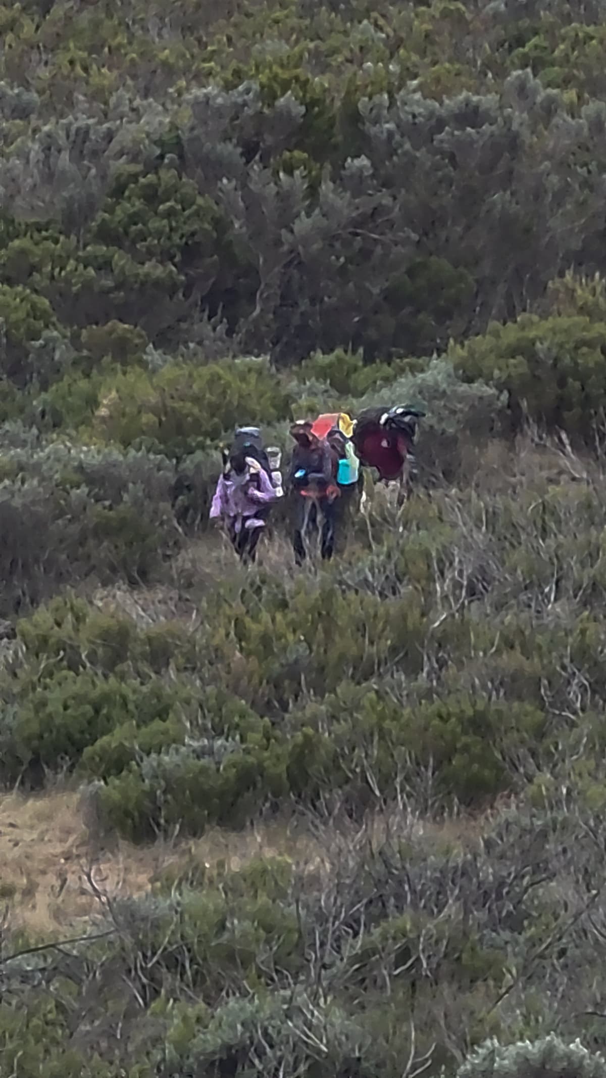 inside MOUNT KENYA